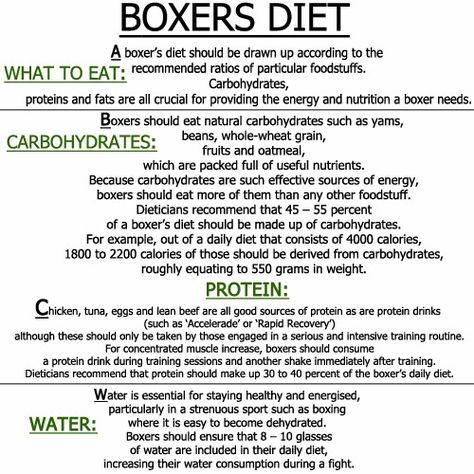 Bethebest3: boxers diet - Be a Professional Boxer Boxers Diet, Boxer Workout, Fighter Diet, Boxing Workouts, Boxing Training Workout, Boxing Techniques, Workout Diet Plan, Female Boxers, Bodybuilding Diet