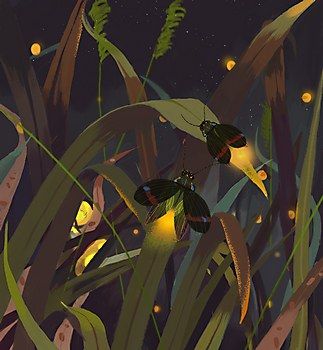 Nix Ren | Communication Arts Underground Illustration, Forest Bugs, Fairy Circle, Firefly Art, Lightning Bugs, Sky Art Painting, Night Illustration, Communication Art, Insect Art