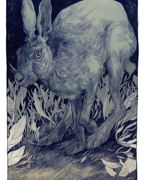 I drew this one back in summer 2015. #illustration #drawing #illustratorsoninstagram #animaldrawing #rabbits #illustrationart Thomke Meyer, Old Sketches, Illustrations Ideas, Insect Illustration, Start Drawing, Wildlife Artwork, Illustration Sketches, Drawing Tutorials, Art Block