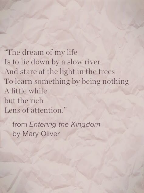 The dream of my life is to lie down by a slow river and stare at the light in the trees—to learn something by being nothing a little while but the rich lens of attention. —Mary Oliver ..* Mary Oliver Quotes, Mary Oliver Poems, Mary Oliver, Life Quotes Love, Wonderful Words, Love Words, Poetry Quotes, Pretty Words, The Dream