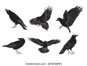 Simple Raven Tattoo, Raven Tattoo Meaning, Black Crow Tattoos, Black Dragon Tattoo, Crow Tattoo Design, Gargoyle Tattoo, Gothic Drawings, American Crow, Saved Tattoo