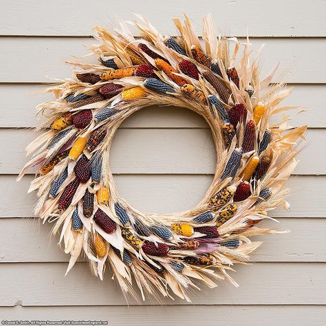 Indian Corn Wreath | by Scenic New England Fall Corn Decor, Decorating With Indian Corn, Dried Corn Decor, Ornamental Corn Decorations, Cornhusk Wreath, Corn Decorations, Indian Corn Wreath, Urban Rugs, Corn Decor