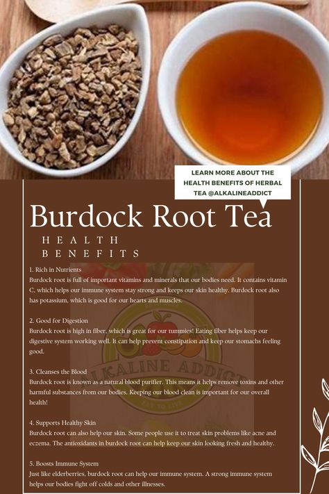 Burdock root is not only a nutritious vegetable but also a wonderful addition to your diet. It can help with digestion, boost your immune system, and support healthy skin. Making burdock root tea at home is easy and fun! #alkaline #burdockroot #tea #herbaltea #diy #recipes Burdock Root Tea Benefits, Burdock Root Recipes, Burdock Plant, Digestion Tea, Burdock Root Benefits, Burdock Root Tea, Help With Digestion, Moringa Benefits, Tea For Digestion