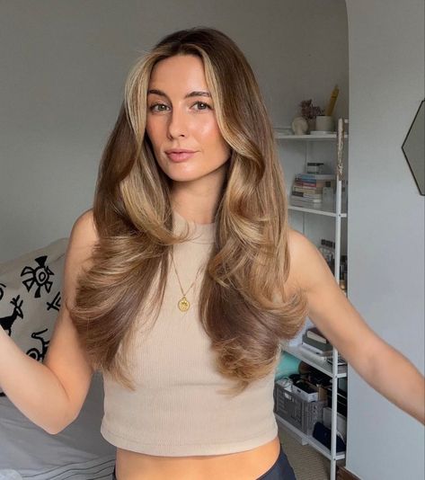 Bleachless Hair Colours, Rich Honey Brown Hair, Brushlight Hair Brown, Golden Highlights Brown Hair Sun Kissed, Sophie Suchan Hair, Long Golden Brown Hair, Light Brown Hair Blowout, Warm Golden Brown Hair, Cool Light Brown Hair