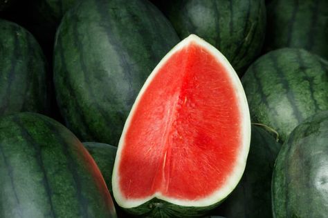 Types Of Watermelon, Watermelon Varieties, Seedless Watermelon, Big Tasty, Watermelon Plant, Sweet Watermelon, Plant Catalogs, Watermelon Seeds, Seed Germination