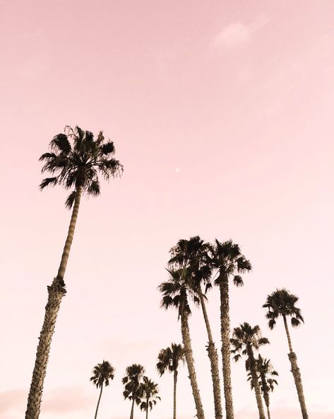 Oc California, Salty Hair, Cali Girl, Pink Aura, Malibu Barbie, I Am In Love, Pink Girly Things, California Dreamin', Foto Ideas Instagram