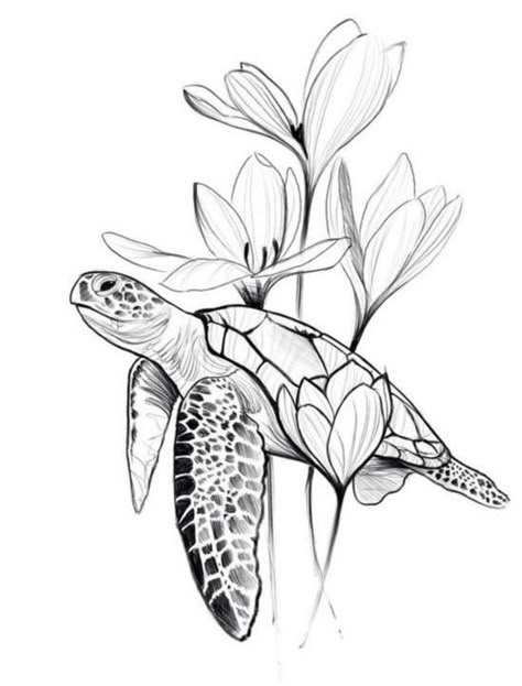 Tropisches Tattoo, Turtle Meaning, Turtle Spirit Animal, Turtle Symbolism, Turtle Sketch, Sea Turtle Tattoo, Turtle Tattoo Designs, Sea Tattoo, Turtle Drawing