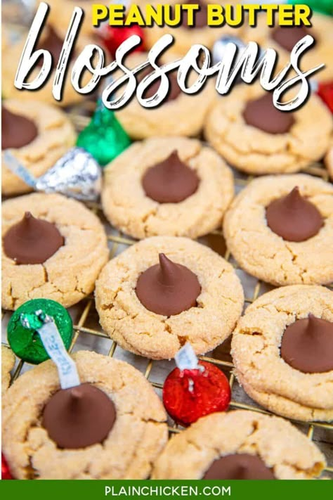 Peanut Butter Blossoms Recipe - Tender peanut butter cookies, made from scratch, and topped with Hershey Kisses. The perfect combination of chocolate and peanut butter. These cookies disappear fast! Butter, peanut butter, brown sugar, sugar, all-purpose flour, baking soda, baking powder, egg, and vanilla extract. Simple to make and even easier to eat! Add this easy recipe to your holiday baking list. It is sure to be a hit! Peanut Butter And Hershey Kiss Cookie, Recipe For Peanut Butter Blossom Cookies, Pioneer Woman Peanut Butter Blossoms, Peanut Butter Blossom Cookies Easy Hershey's Kisses, Peanut Blossom Cookies Recipe, Peanut Butter Blossom Cookies Easy, Easy Peanut Butter Blossom Cookies, Hersey Kisses Peanut Butter Cookies, Penutbutter Cookes