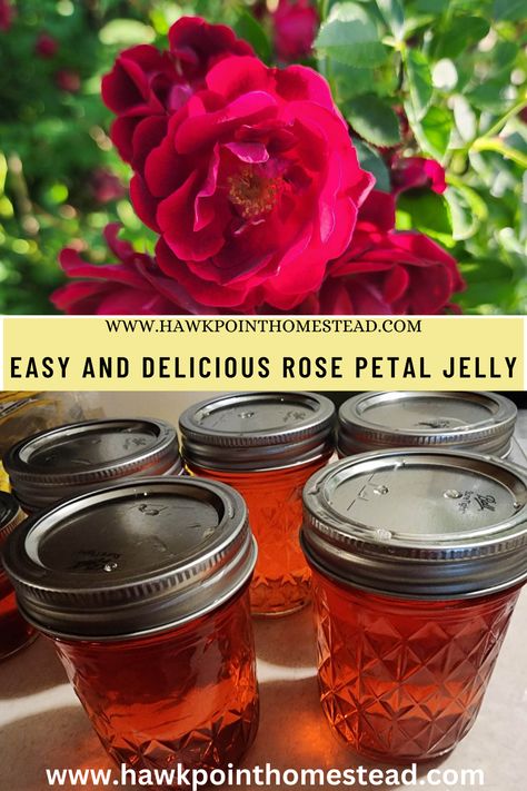 Enjoy the beautiful sweet rose flower jelly with the slight flavor of rose. This homeade rose petal jam made from culinary rose petals would be so delicious with vanilla ice cream! It is so fun to make delicious floral jellies from different edible flowers, and so fun for kids also. The different jellies make great gifts! My recipe made a beautiful red rose petal jelly. Different varieties may make a different color of delicious jelly. Rose Petal Jelly, Rose Petal Jelly Recipe, Rose Jelly Recipe, Apple Blossom Recipe, Rose Petal Recipes, Herbal Business, Rose Petal Jam, Flower Recipes, Edible Rose Petals