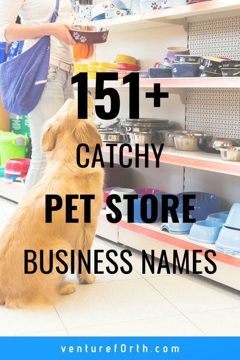 Petshop Names Ideas, Pet Shop Names Ideas, Pet Boutique Ideas Store Design, Dog Store Ideas, Dog Shop Ideas, Pet Boutique Ideas, Pet Shop Ideas, Pet Grooming Salon Ideas Design, Petshop Design Pet Store