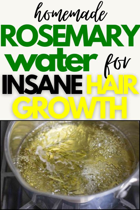 How To Make Rosemary Water For Hair Growth – The Curly Hair Journey Rosemary Water Benefits, Rosemary Hair Rinse, Rosemary Water For Hair Growth, Rosemary Water For Hair, Curly Hair Journey, Rosemary For Hair, Water Hair Growth, Herbs For Hair Growth, Rosemary Hair Growth