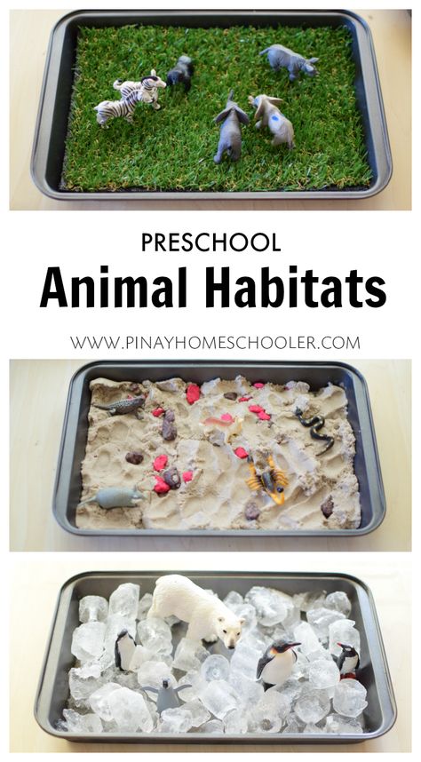 Animal habitats for preschoolers                                                                                                                                                                                 More Preschool Animal Habitats, Habitats Preschool, Animal Habitats Preschool, Animal Habitat, Sensory Table, Animal Activities, Preschool Science, Animal Habitats, Afterschool Activities