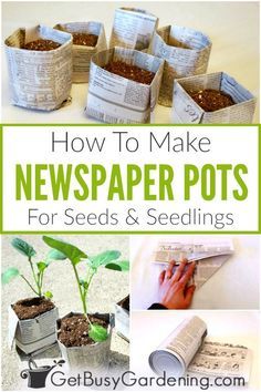 Make Your Own Newspaper, Seed Starting Containers, Plantarea Legumelor, Gardening On A Budget, Gemüseanbau In Kübeln, Diy Newspaper, Saving Seeds, Seedling Pots, Seed Pots