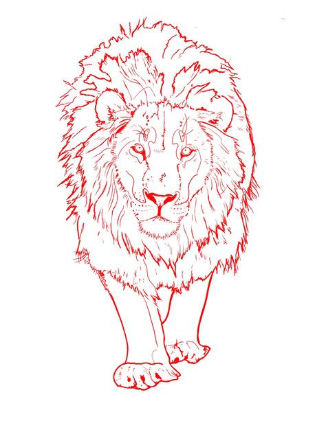 Walking Lion Tattoo, Fineline Lion Tattoo, Lion Tattoo Linework, Lion Tattoo Stencil Drawings, Lion Tattoo Outline, Lion Head Outline, Lion Line Drawing, Lion Line Art, Lion Outline