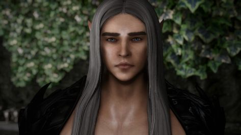 Skyrim Altmer, High Elf Male, Vampire Character, Skyrim Special Edition Mods, Skyrim Mods, High Elf, Games Images, Game Guide, Skyrim