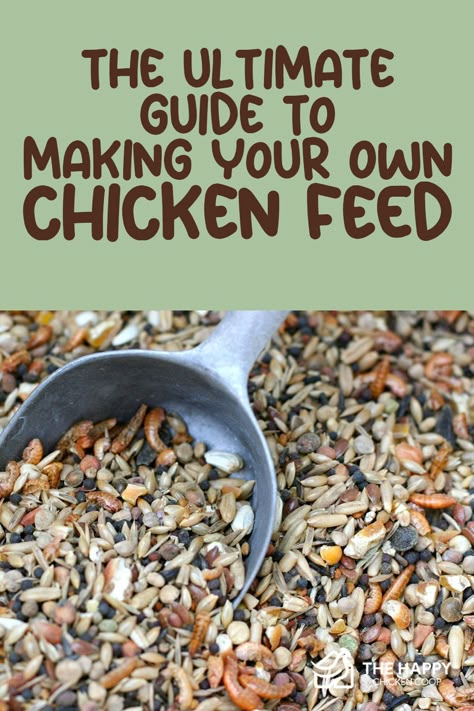 Dried Herbs For Chickens, Chicken Feed Additives, Best Herbs For Chickens, Herbs To Add To Chicken Feed, Spices To Feed Chickens, Spices To Add To Chicken Feed, Chicken Feed Recipes, Organic Chicken Feed Recipe, Quail Garden