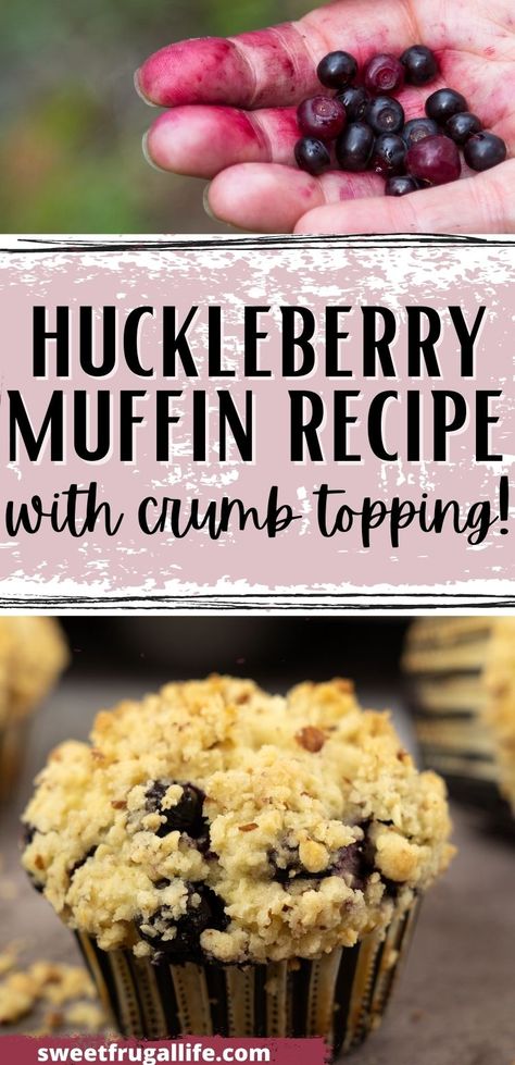 Easy Huckleberry Muffin Recipe - Sweet Frugal Life Huckleberry Bread Recipe, Huckleberry Crisp Recipe, Huckleberry Muffins Recipe, Huckleberries Recipes, Red Huckleberry Recipes, Huckleberry Banana Bread, Huckleberry Cinnamon Rolls, Huckleberry Cake Recipes, Huckleberry Pie Recipe