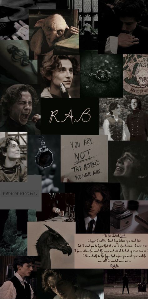 Timothee Regulus Black, Regulas Black Timothee, Regulus Black Letter To Voldemort, Regulus Black Computer Wallpaper, Regulus Black Collage, Timothee Chalamet As Regulus Black, Regulus Wallpaper Aesthetic, Regulus Black Bedroom Aesthetic, Timothee Chalamet Slytherin