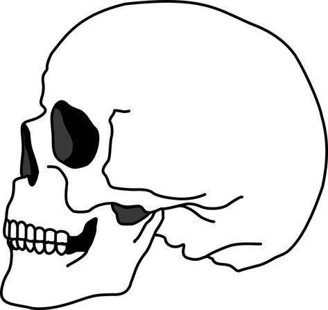 Skull bone face. Side view. Skull icon. Black and white cartoon smiling cute human skeleton head, vector illustration. Spooky skeleton dead head sketch Skeleton Drawing Head, Front Facing Skeleton Drawing, Skeleton Head Side View, Skull Side Profile Open Mouth, Skull Drawing Simple Side View, Face Side View, Skull Side View, Cute Human, Side View Of Face