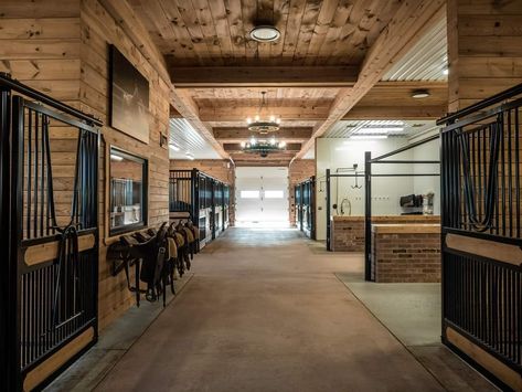 Small Stables Horse, Beautiful Horse Stables, Modern Horse Stable, Barn Ideas For Horses, Barn Ideas Buildings, Modern Stables, Equestrian Facility Layout, Stable Layouts, Horse Barn Layout