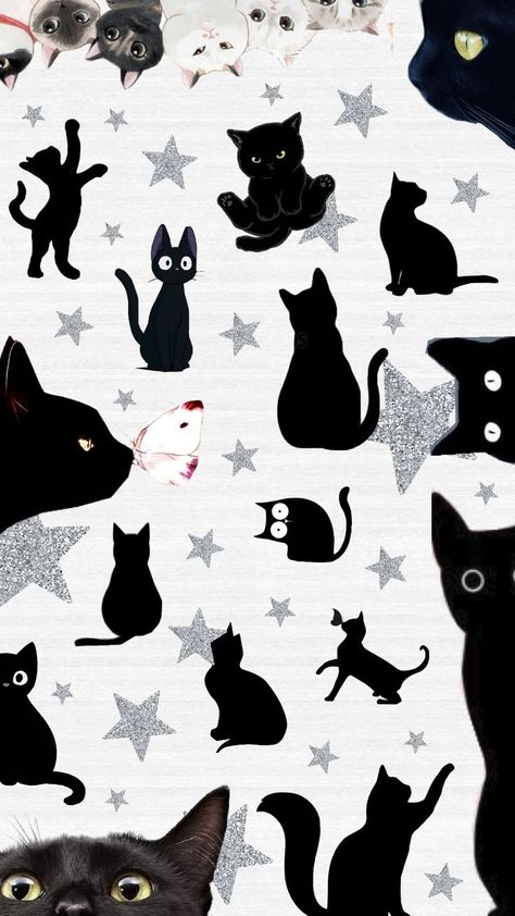 Black And White Cat Wallpaper, Silly Cat Wallpaper, White Cat Wallpaper, Bow Wallpaper, Black And White Cat, Fish Wallpaper, Edgy Wallpaper, Cat Wallpaper, Silly Cats