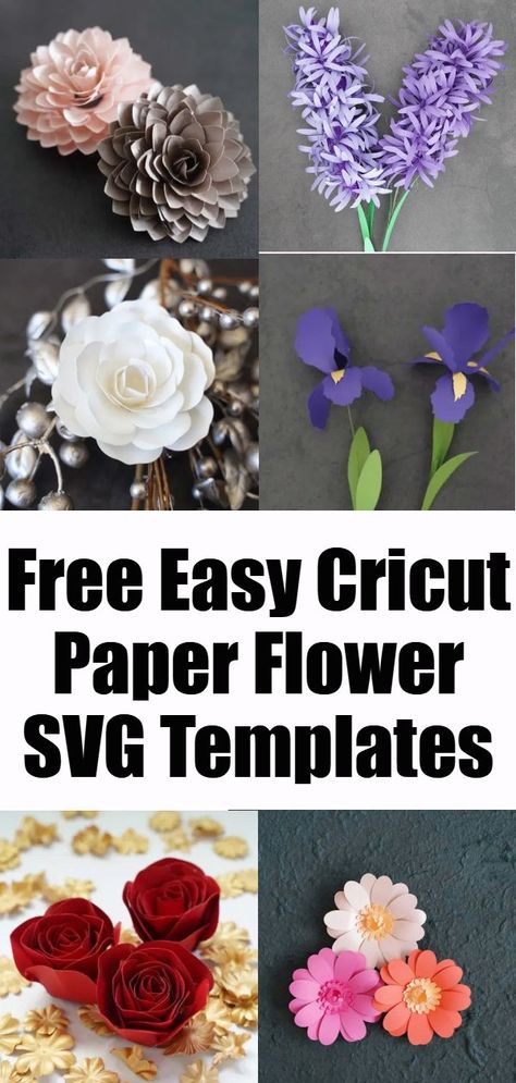 Paper Flower Svg, Free Paper Flower Templates, Flower Projects, Idee Cricut, Easy Paper Flowers, Paper Flower Crafts, Paper Flower Template, Paper Flowers Craft, Paper Flower Tutorial