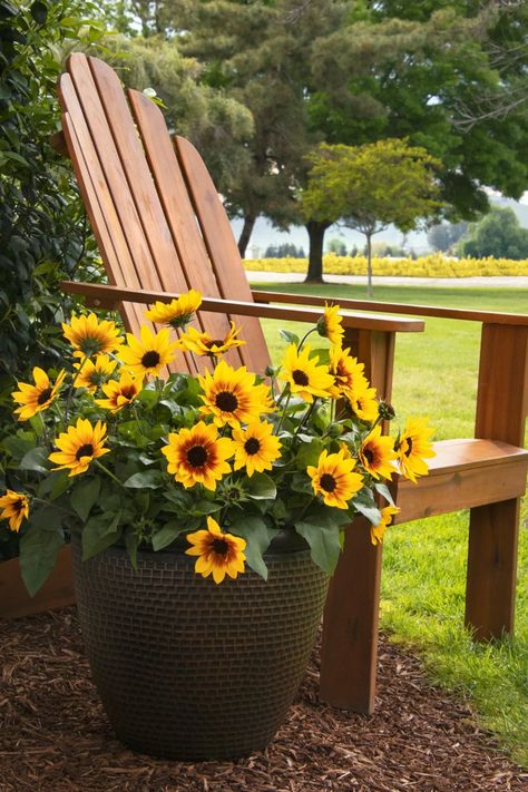 Sunbelievable Sunflower in pot Sun Flower Garden Ideas, Aesthetic Flower Pot, Sun Flower Garden, Plant Garden Design, Potted Plant Garden, Potted Sunflowers, Flower Garden Ideas, Full Sun Flowers, Pot Gardening