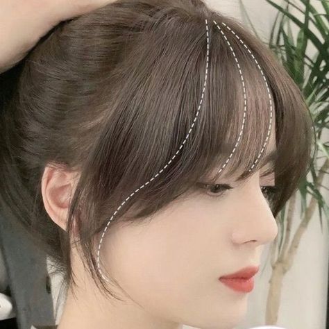 S Shape Bangs, Bangs With Curtain Bangs Korean, Invisible Bangs Korean, Face Framing Hairstyles For Round Face, Short Dark Brown Hair With Bangs, Normal Bangs, Korean Bangs Side, Bang Types, Korean Air Bangs