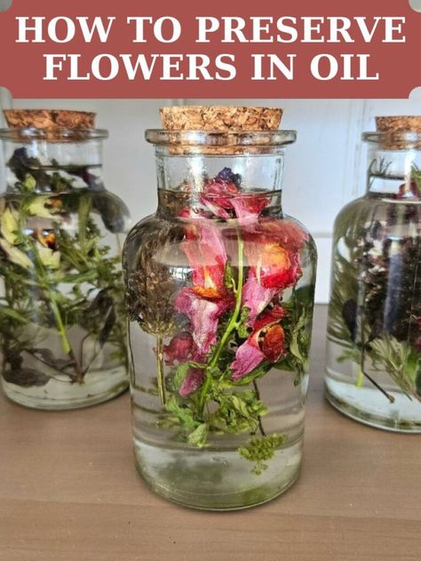 Learn how to preserve flowers in baby oil to keep their beauty and vibrance for longer. A simple and easy DIY home decor idea. Flowers In Baby Oil, Perserving Flowers, Ways To Preserve Flowers, Preserve Flowers, Easy Diy Home Decor, Homemade Wreaths, Flowers In Jars, Wine Bottle Art, Home Decor Idea