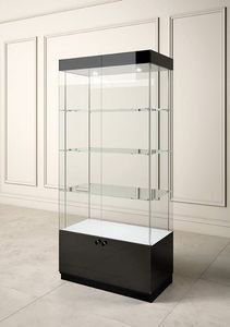 Rock Collection Display, Glass Display Shelves, Etagere Cube, Trophy Display, Showroom Decor, Modular Display, Glass Showcase, Display Showcase, Clinic Interior Design