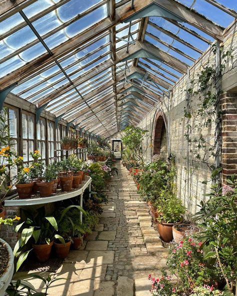 Martin Brudnizki, Stone Walls Garden, Dream Backyard Garden, Earthship Home, Greenhouse Interiors, Home Greenhouse, Hot House, Backyard Greenhouse, Greenhouse Plans