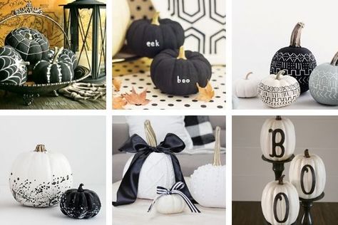 Black and White Pumpkin Painting Ideas Black And White Painted Pumpkins, Black And White Pumpkin Painting, Black And White Pumpkin Decor, White Pumpkin Painting Ideas, White Pumpkin Painting, Decorate Pumpkins, White Pumpkin Decor, Decoupage Pumpkins, Craft Pumpkins