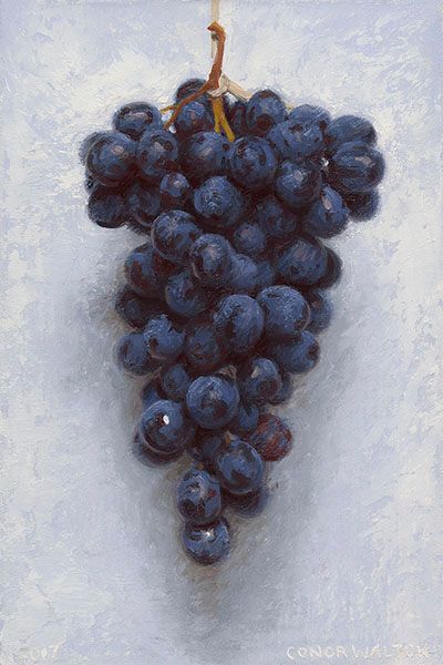 Istoria Artei, Bunch Of Grapes, John Charles, Grape Bunch, Chiaroscuro, Make Color, Light And Shadow, Figurative, Aesthetic Art