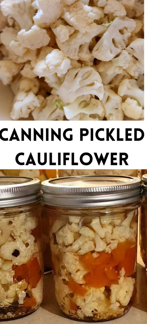 This pickled cauliflower canning recipe gives a whole new meaning to pickles! I have recently learned you can pickle so many different kinds of vegetables. Cauliflower is one of the greatest vegetable you can pickle. It turns out so tasty and still quite crisp and crunchy!  Pickled cauliflower are a great addition to any appetizer spread or relish tray.    Pickled cauliflower also go great added to salads and add crunchy flavor to lots of dishes, plus great just as a snack. T Fermenting Pickles, Fermented Vegetables Recipes, Quick Pickled Vegetables, Pickled Vegetables Recipe, Pickled Cauliflower, Fermented Veggies, Quick Pickled, Fermentation Recipes, Cauliflower Recipe