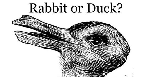 Why Do Some People See A Duck While Others See A Rabbit? | PlayBuzz Necker Cube, Glitter Lucky, Duck Rabbit, Duck Or Rabbit, Odd Stuff, Classroom Art, Beer Packaging, A Duck, Illusion Art