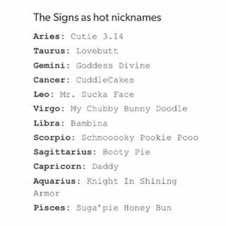 Oh well, better than being called "Daddy" #Aquarius Hot Nicknames, Zodiac Characters, Capricorn Life, Cute Nicknames, Knight In Shining Armor, Zodiac Signs Gemini, Zodiac Memes, Earth Signs, Zodiac Sign Facts