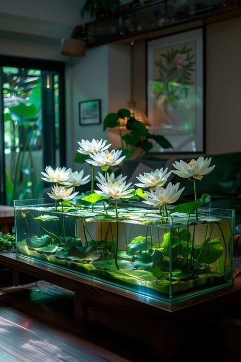 Indoor Water Features Diy, Indoor Lotus Pond, Aquatic Garden Indoor, Water Lily Aquarium, Indoor Aquatic Plants, Indoor Lotus Plant, Lotus Plant At Home, Aquatic Plants Indoor Water Garden, Lotus Indoor