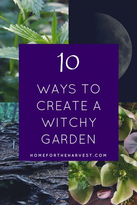 10 Ways to Create a Witchy Garden | Home for the Harvest Food Merchandising, Witches Garden, Witch's Garden, Witchy Garden, Merchandising Tips, Tattoo Plant, Witch Herbs, Witch Garden, Organic Vegetable Garden