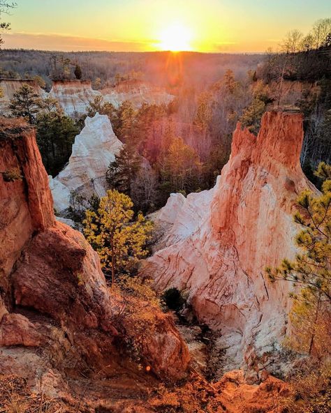 Cloud Land Canyon Georgia, Little Grand Canyon Georgia, Providence Canyon Georgia, Georgia Travel Usa, Georgia Scenery, Georgia Landscape, Georgia Nature, Map Of Georgia, Providence Canyon