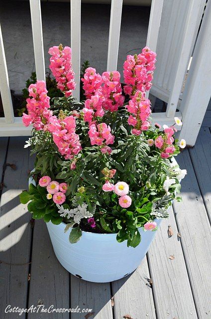 spring flowers in painted pot Planter Designs, Garden Frogs, Flower Pots Outdoor, Unique Planter, Garden Containers, Container Flowers, Container Plants, Gardening Ideas, Garden Planters