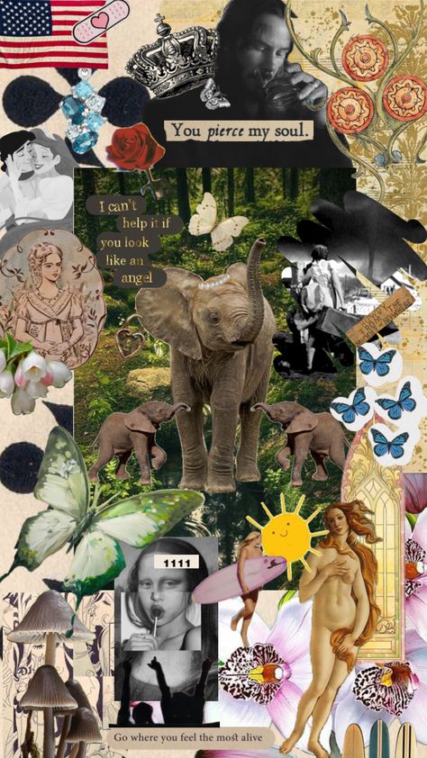 Elephant Collage, Surfing, Elephant, Collage, Art