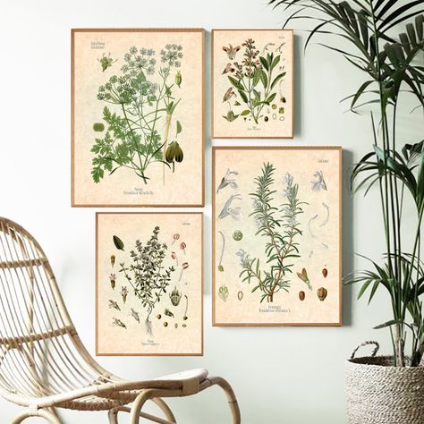 Botanical Kitchen, Retro Style Posters, Picture Canvas, Painting Kitchen, Wall Art Picture, Botanical Poster, Canvas Decor, Vintage Theme, Canvas Art Wall Decor