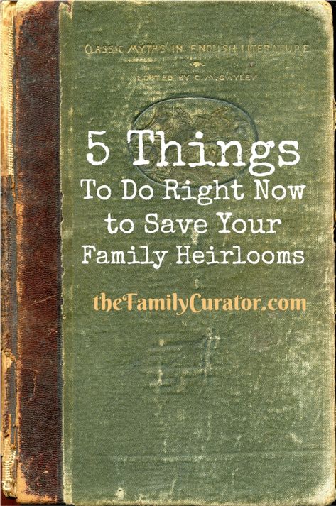 5 Things You Can Do Right Now to Save Your Family Heirlooms - The Family Curator Family History Organization, Family History Projects, Genealogy Organization, Genealogy Help, Ancestry Family Tree, Family Tree Project, Family History Book, Family Tree Genealogy, Genealogy Resources