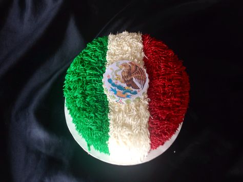 Mexican flag cake Mexican Flag Birthday Party, Mexican Flag Cake Ideas, Mexican Cake, Mexican Birthday Parties, Flag Cake, Mexican Fiesta Party, Mexican Christmas, Mexican Birthday, Mexican Flags