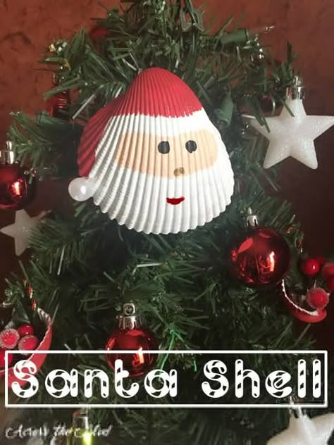 Haha! After seeing this Christmas idea, I will never look a seashell the same way again! Living in a coastal city means that there is always the opportunity to go to the beach and collect shells. making several differently styled ornaments using shells Seashell Christmas Ornaments, Easy Christmas Ornaments, Mercury Glass Christmas Ornaments, Coastal City, Shell Crafts Diy, Christmas Idea, Santa Decorations, Unique Christmas Trees, Easy Christmas Diy