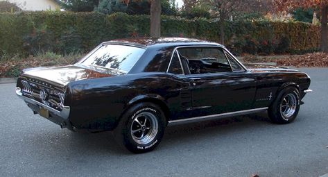 Raven Black 1967 Mustang Hardtop Ford Mustang History, Valentina Core, Fort Mustang, Race Games, 67 Ford Mustang, Mustang 1967, Mustang 1966, Ford Mustang 1967, 67 Mustang