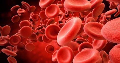 Why do we have different blood types? It seems that there was a distinct advantage in having differing blood groups across the human race, but to what purpose? Iron Deficiency, Red Blood, Red Blood Cells, Blood Type, Blood Cells, Blood Test, Brain Health, Kiwi, Crab