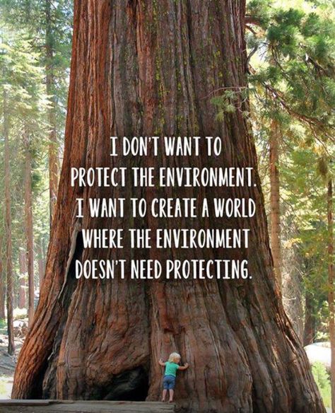 My dream career in environmental engineering summed up perfectly. Save Our Earth, Save Our Planet, Save The Earth, Foto Tips, Our Earth, Green Life, Save Earth, Nature Quotes, Save The Planet