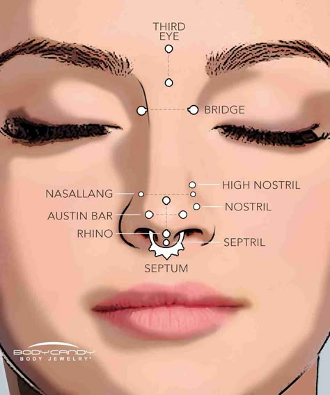 There are many different ways to pierce the nose - check them all out at once in this helpful little guide. Piercing Diagram, Piercing Facial, Piercing Face, Piercing Eyebrow, Double Nose Piercing, Ear Piercings Chart, Cute Nose Piercings, Piercing Chart, Piercing Conch