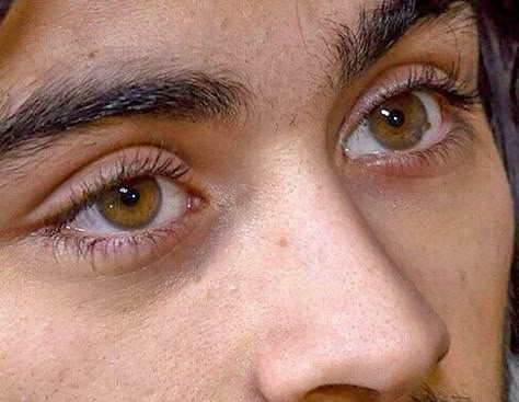 Zayn Malik Eyes, Disney Princess Eyes, Princess Eyes, Zayn Malik Video, Zayn Malik Photos, Bambi Disney, Zayn Malik Pics, Aesthetic Eyes, Pretty Eyes